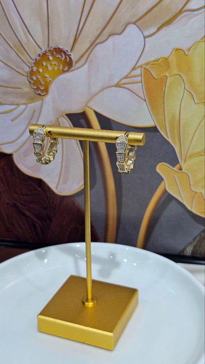 Boucles d'oreilles de Luxe Pour Femme / F300501