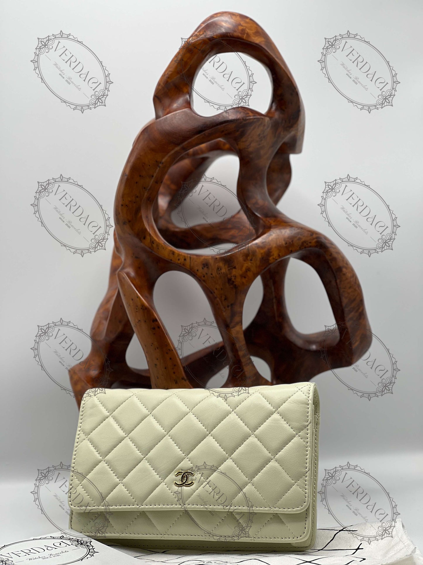 Sac Cuir de luxe pour femme / F3000151