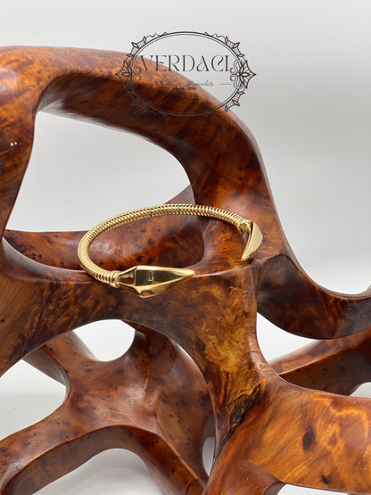 Bracelet de Luxe Pour Homme / H300445