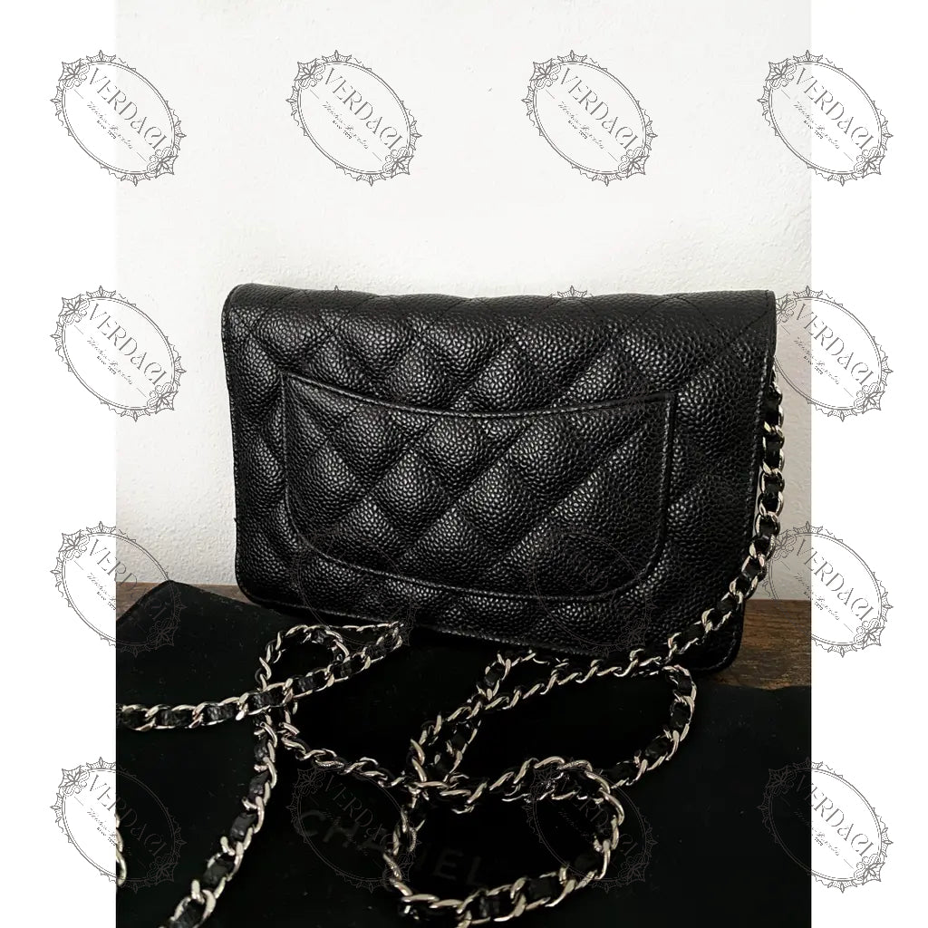 Sac de luxe pour femme / F300016