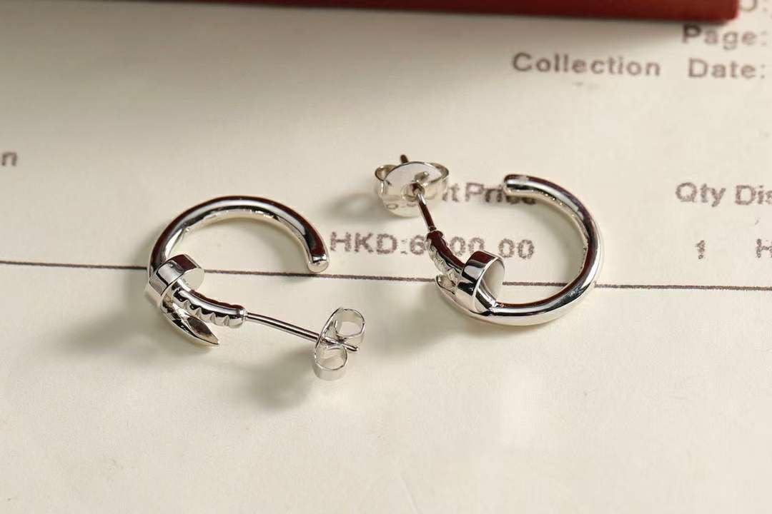 Boucles d'oreilles  de Luxe Pour Femme / F300274