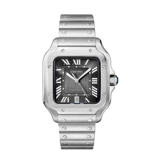 Montre Cartier Santos WSSA0037 Pour Homme